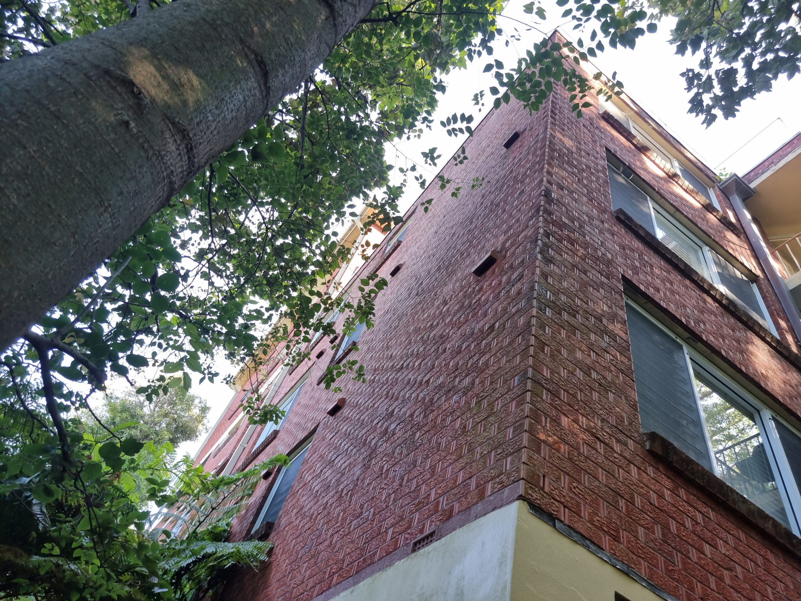 Building Maintenance Remedial Works