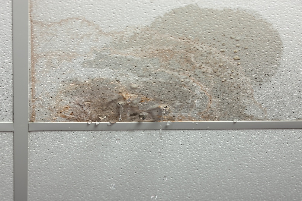 Water_Leaks_Ceiling_MJ_Engineering_Projects